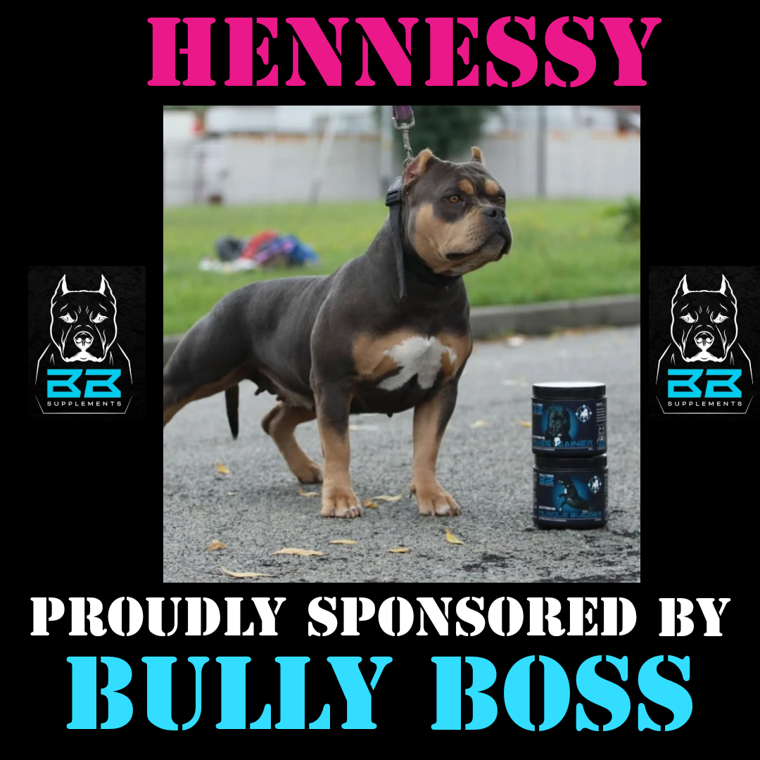 American clearance bully vitamins