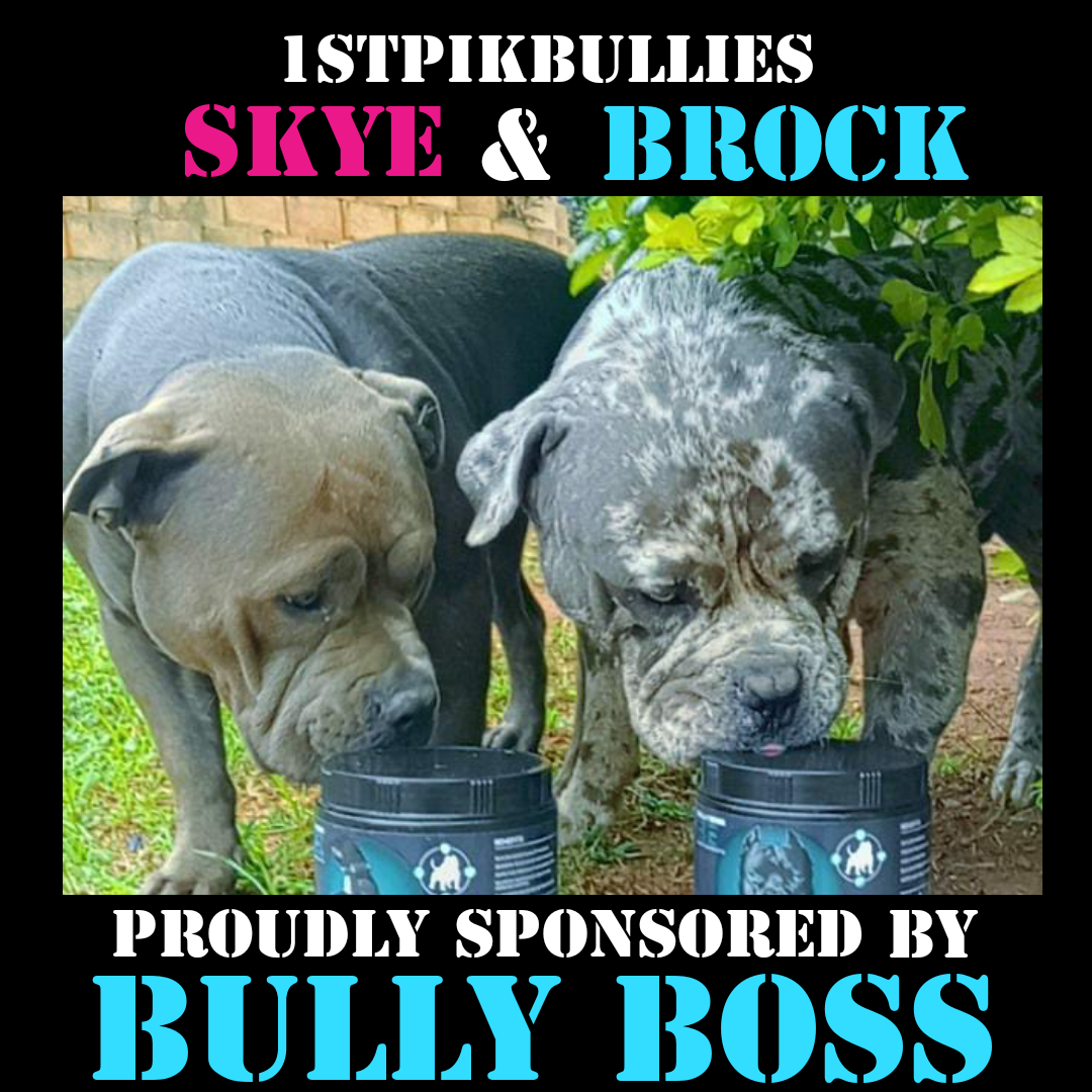 Boss Status Bully's