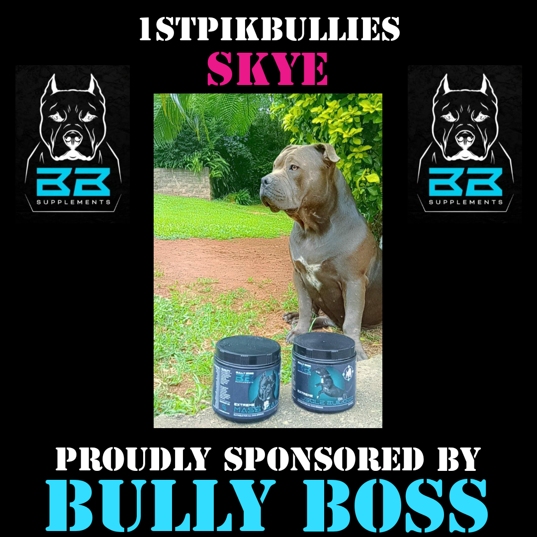 Bully dog supplements 2025