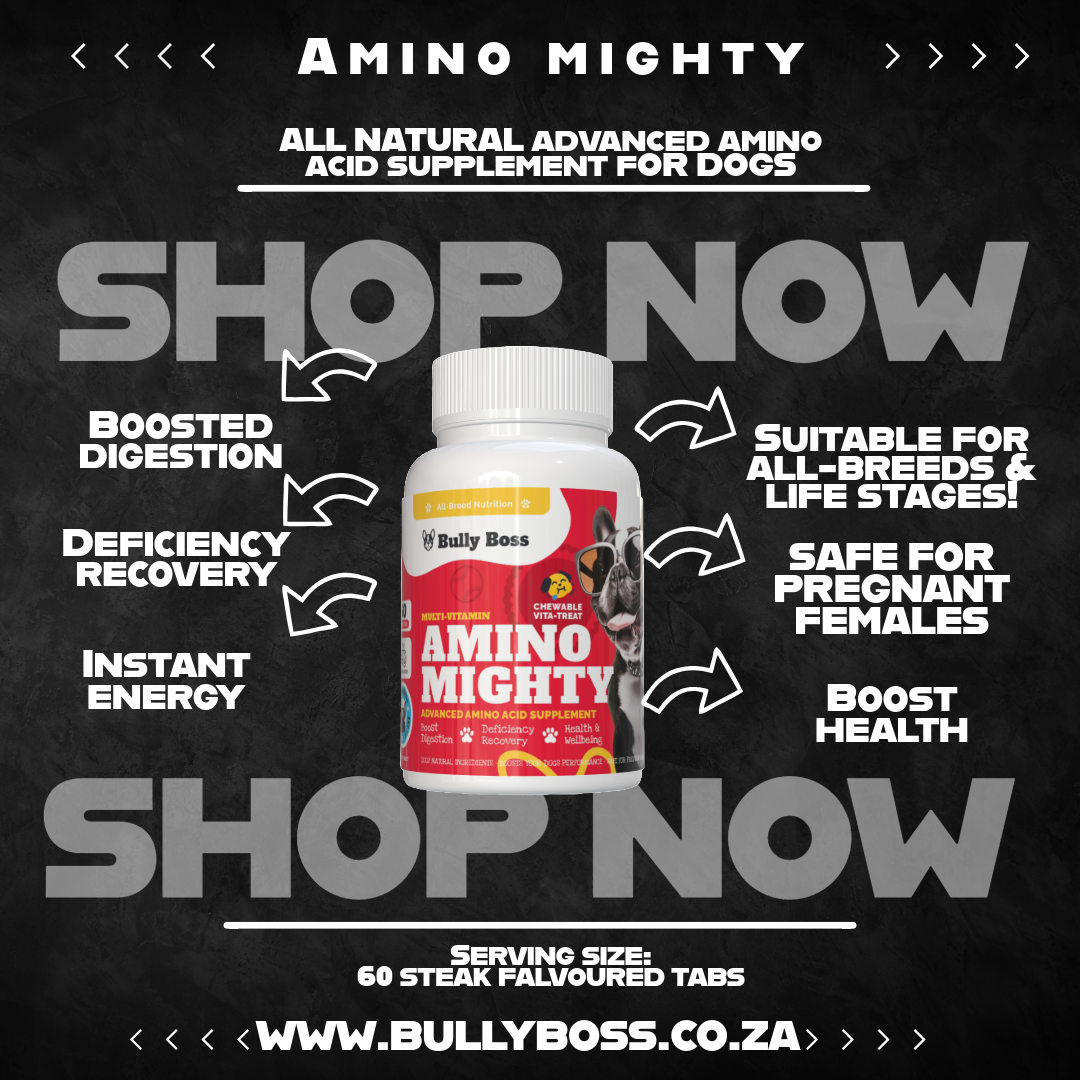 AMINO MIGHTY