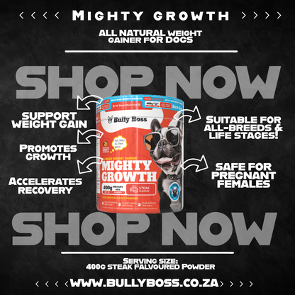 MIGHTY GROWTH (STEAK FLAVOUR)