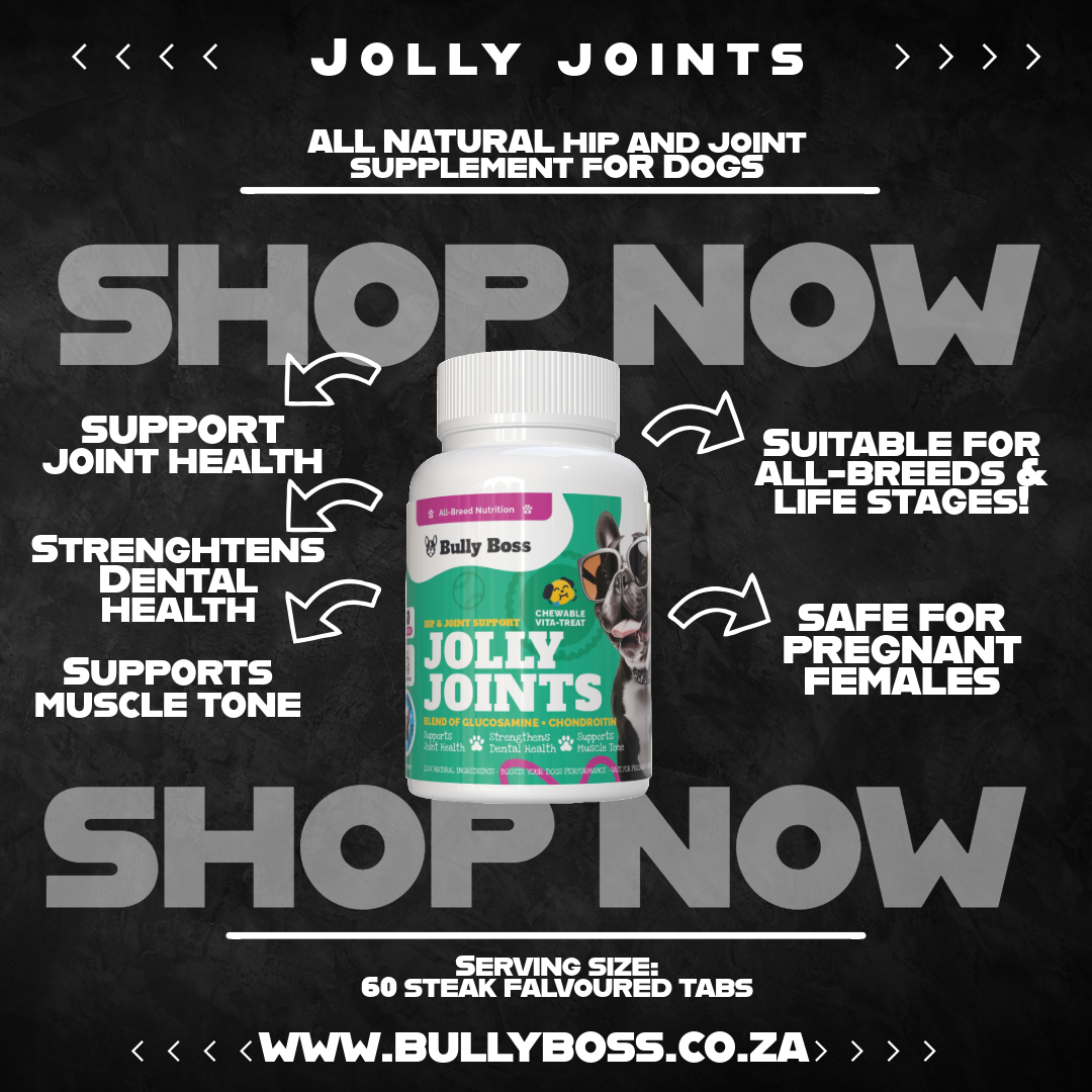 JOLLY JOINTS